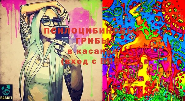 ПСИЛОЦИБИНОВЫЕ ГРИБЫ Алзамай