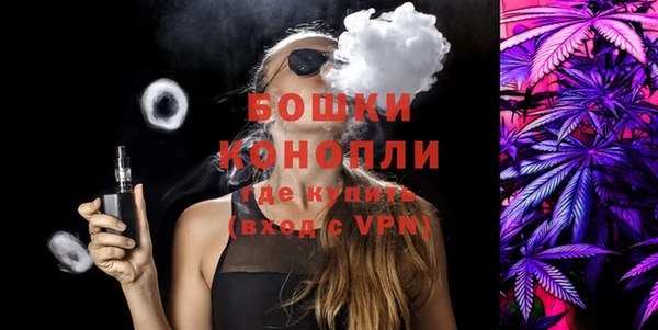 индика Протвино
