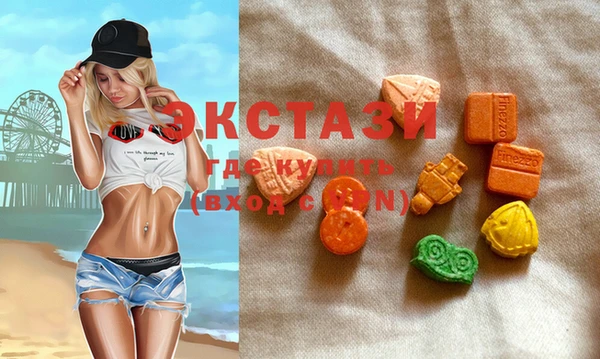 индика Протвино
