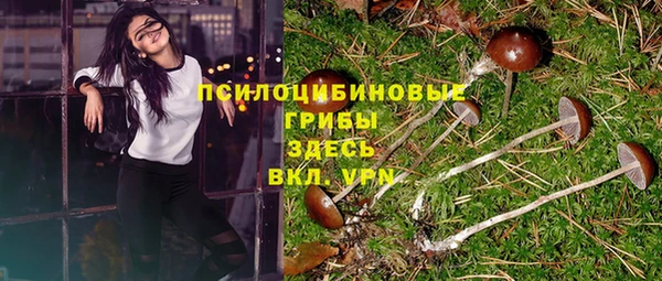 ALPHA-PVP Алексеевка